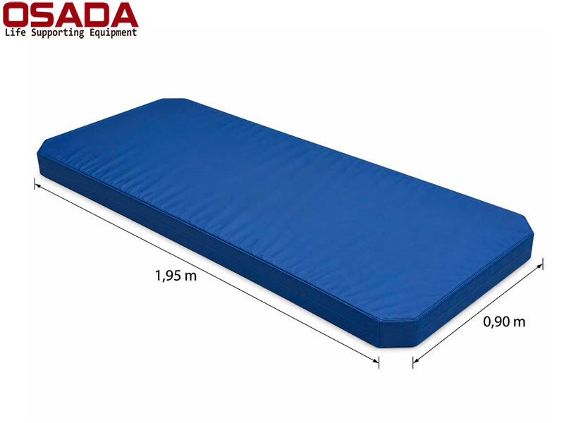 Giường Bệnh Nhân Điều Khiển Điện OSD-E2